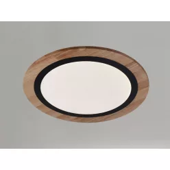   LED design mennyezeti lámpa 25W, 1900lm, 3000K-6500K, RF 2,4GHz vezérlés, IP20, Ø480x60mm - J1352/BW