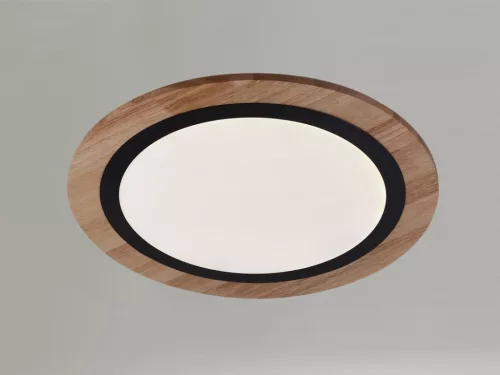 LED design mennyezeti lámpa 25W, 1900lm, 3000K-6500K, RF 2,4GHz vezérlés, IP20, Ø480x60mm - J1352/BW