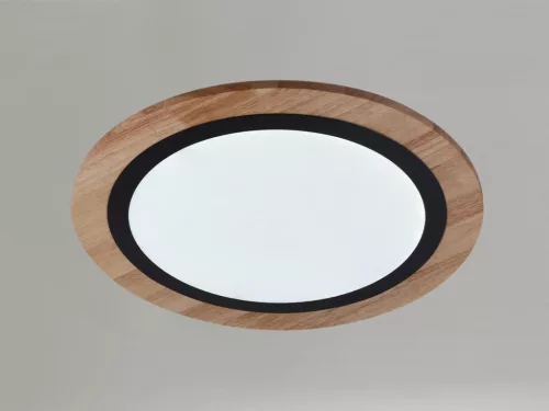 LED design mennyezeti lámpa 25W, 1900lm, 3000K-6500K, RF 2,4GHz vezérlés, IP20, Ø480x60mm - J1352/BW