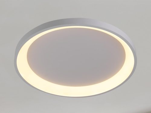 LED design mennyezeti lámpa 40W, 3000lm, 3000K-6500K, RF 2,4GHz vezérlés, IP20, Ø499x60mm - J1356/W
