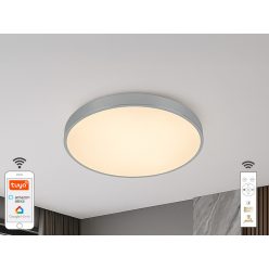   LED mennyezeti lámpa opál 48W dimmelhető Wifi távirányítóval IP20 fehér - LC902AS/SI