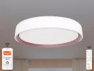 LED mennyezeti lámpa opál 48W dimmelhető Wifi távirányítóval IP20 fehér-kávé - LC902M