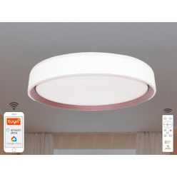   LED mennyezeti lámpa opál 48W dimmelhető Wifi távirányítóval IP20 fehér-kávé - LC902M