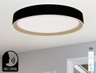 LED mennyezeti okos lámpa 48W dimmelhető 2700K-6500K IP20 távirányítóval hangvezérlés - LC902MBV