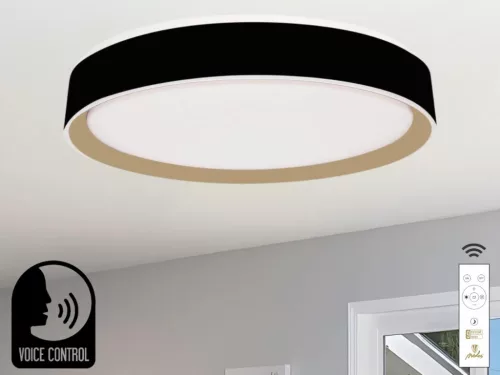 LED mennyezeti okos lámpa 48W dimmelhető 2700K-6500K IP20 távirányítóval hangvezérlés - LC902MBV