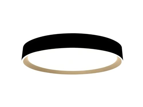 LED mennyezeti okos lámpa 48W dimmelhető 2700K-6500K IP20 távirányítóval hangvezérlés - LC902MBV