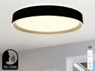 LED mennyezeti okos lámpa 48W dimmelhető 2700K-6500K IP20 távirányítóval hangvezérlés - LC902MBV