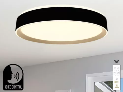 LED mennyezeti okos lámpa 48W dimmelhető 2700K-6500K IP20 távirányítóval hangvezérlés - LC902MBV