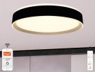 LED mennyezeti lámpa OPÁL fekete/aranysárga távvezérlővel, 48W, 5600 lm, 2700-6500K, IP20 - LC902MB