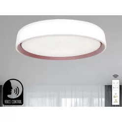   Intelligens dimmelhető mennyezeti LED lámpa 48W, 499mm átmérő, 2700K–6500K, IP20 - LC902MV