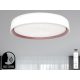 Intelligens dimmelhető mennyezeti LED lámpa 48W, 499mm átmérő, 2700K–6500K, IP20 - LC902MV