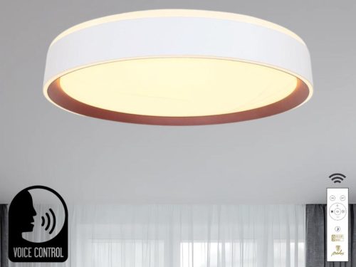 Intelligens dimmelhető mennyezeti LED lámpa 48W, 499mm átmérő, 2700K–6500K, IP20 - LC902MV