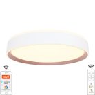 LED mennyezeti lámpa opál 48W dimmelhető Wifi távirányítóval IP20 fehér-kávé - LC902M