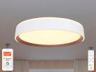 LED mennyezeti lámpa opál 48W dimmelhető Wifi távirányítóval IP20 fehér-kávé - LC902M