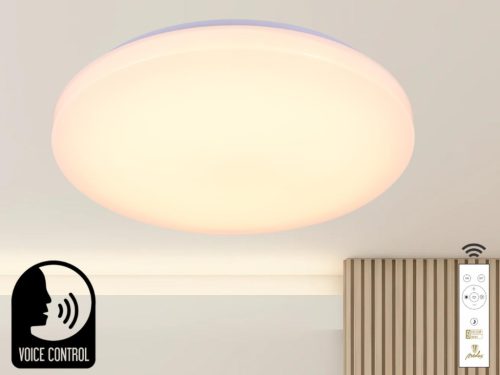 Intelligens dimmelhető kör alakú mennyezeti LED lámpa 48W, 499x80 mm, 2700K–6500K, IP20 - LC902SV