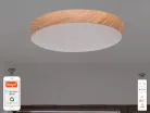 LED mennyezeti lámpa OPÁL fa erezet imitációval távvezérlővel, 48W, 5600 lm, 2700-6500K, IP20 - LC94