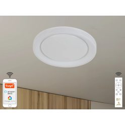   LED mennyezeti lámpa OPÁL RGB+CCT távvezérlővel, 24W, 2800 lm, 2700-6500K, IP20 - LC951U