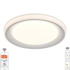 LED mennyezeti lámpa OPÁL RGB+CCT távvezérlővel, 24W, 2800 lm, 2700-6500K, IP20 - LC951U