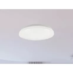   LED mennyezeti lámpa 12W, 900 lm, 4000K semleges fehér, IP44, IK08, Ø245x50 mm - LCL421S/44