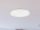 LED mennyezeti lámpa 12W, 900 lm, 4000K semleges fehér, IP44, IK08, Ø245x50 mm - LCL421S/44