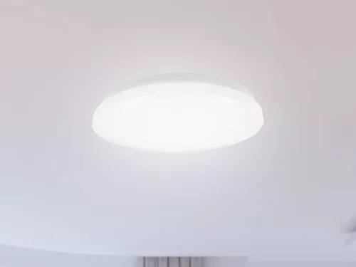 LED mennyezeti lámpa 12W, 900 lm, 4000K semleges fehér, IP44, IK08, Ø245x50 mm - LCL421S/44