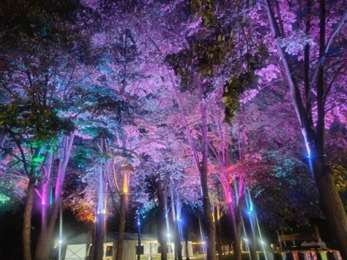 LED Reflektor 30W 165x194x48mm 3000K–6500K+RGB IP65 LF6033W