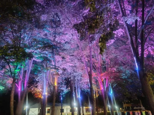 LED Reflektor 30W 165x194x48mm 3000K–6500K+RGB IP65 LF6033W