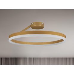 LED mennyezeti lámpa + távvezérlő 40W - TA1313/G