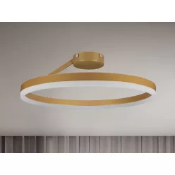 LED mennyezeti lámpa + távvezérlő 40W - TA1313/G