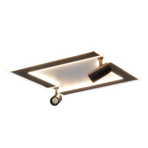 LED dizájn mennyezeti lámpa 80W, 4500Lm, 3000K-6500K, IP20 - TA1319/WB