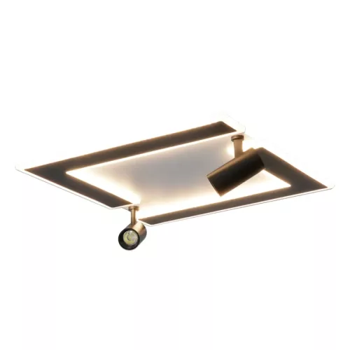 LED dizájn mennyezeti lámpa 80W, 4500Lm, 3000K-6500K, IP20 - TA1319/WB