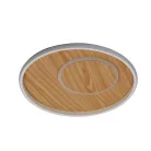 LED dizájn mennyezeti lámpa 65W, 5200lm, 3000-6500K CCT, dimmelhető, RF távirányítóval, IP20 - TB130