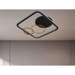   LED dizájn mennyezeti lámpa 70W, 500x450x68 mm, 3000K-6500K, IP20 - TB1305/BG