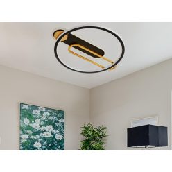   LED dizájn mennyezeti lámpa 60W, 499x450x68 mm, 3000K-6500K, IP20 - TB1306/BG