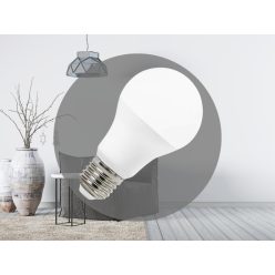 LED izzó 12W E27 6500K hideg fehér Ø60x110 mm - ZLS503
