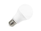 LED izzó 12W E27 6500K hideg fehér Ø60x110 mm - ZLS503